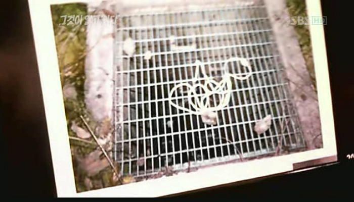 2010년 2월 충청북도 청원군 오창읍 한 야산의 맨홀에서 A 씨 사체가 발견됐다.사진=SBS 그것이 알고싶다 캡처
