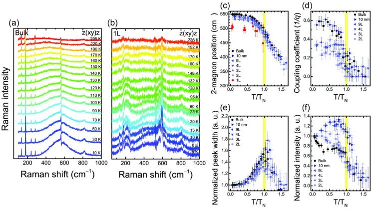 삼황화린니켈의 라만 분광법 스펙트럼