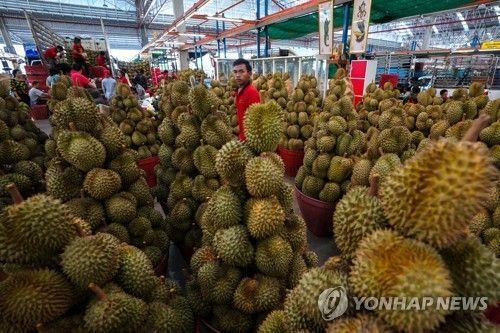 두리안. 사진=연합뉴스
