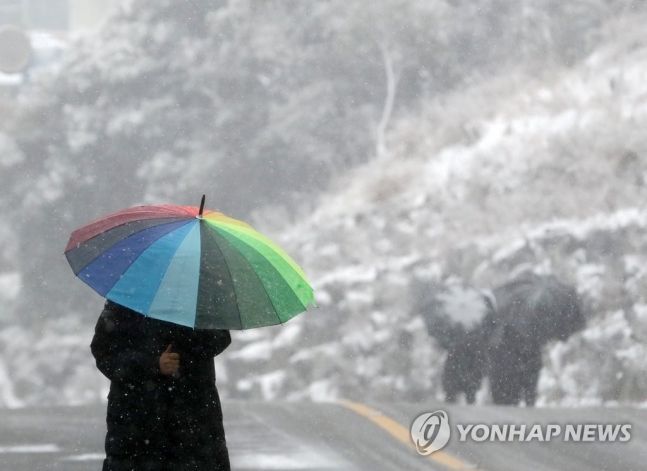 31일 오전 부산 서구 서대신동 꽃마을에서 우산을 쓴 주민/사진=연합뉴스