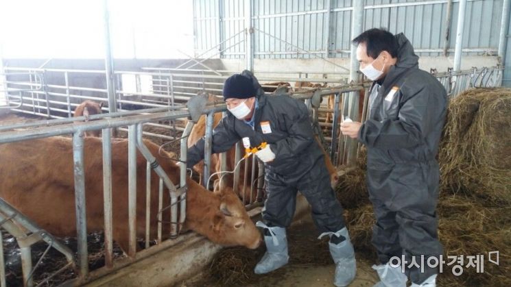 “구제역을 막아라”…고창군 ‘가축방역대책본부’ 가동