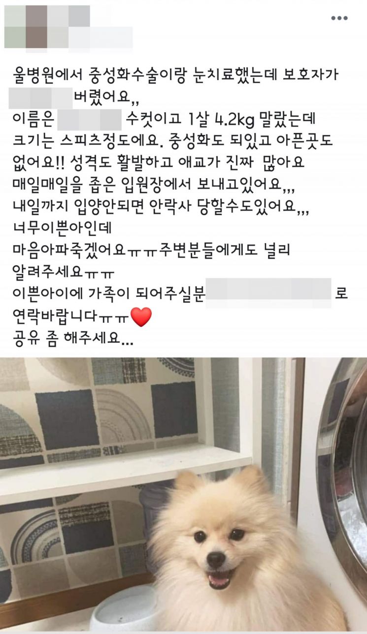 [민족 최대 명절, 하지만]"주인님 어디계세요"…명절이 두려운 동물들
