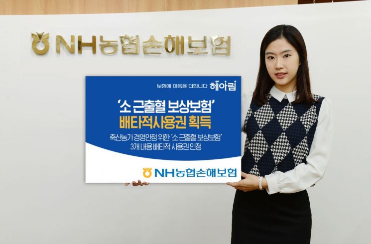NH농협손보, 소 근출혈 보상보험 배타적사용권 획득
