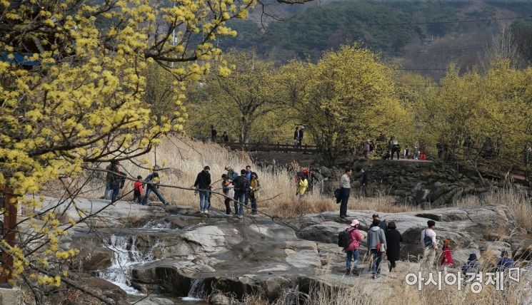 ‘제20회 구례산수유꽃축제’ 개막식 등 행사 운영 달라진다