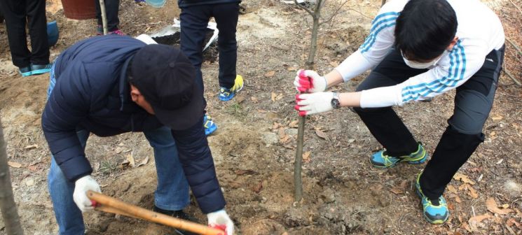 강북구 “미세먼지 먹는 나무 심을 땅 찾습니다”