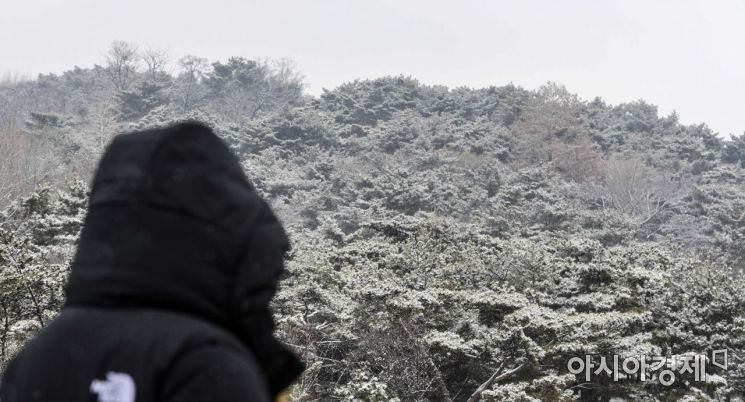 전국 곳곳에 눈이 내리고 있는 15일 서울 중구 남산에 눈이 쌓여 있다./강진형 기자aymsdream@