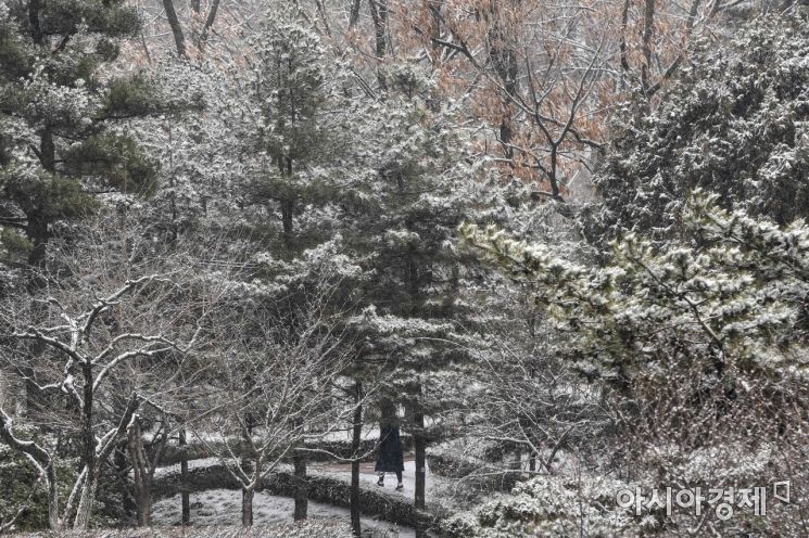 [포토] 눈 쌓인 남산공원