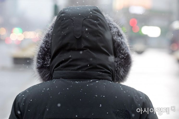 [포토]살포시 내려앉은 눈