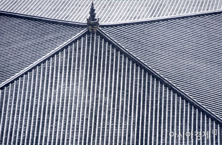 [포토]눈 내린 날