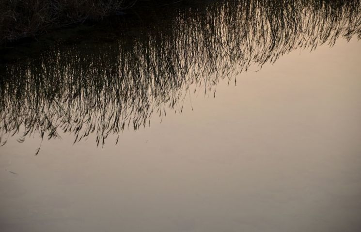 [조용준의 여행만리]쫄깃쫄깃 그 맛에 찾게 되는 울진‥근데, 대게 말고도 되게 많아요