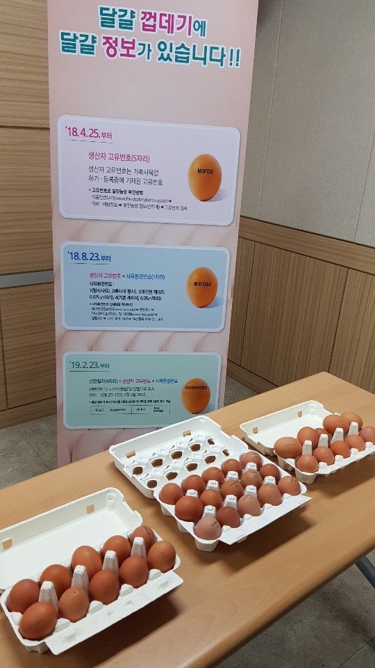 23일부터 소비자가 직접 달걀 껍데기서 산란일자 확인(종합)