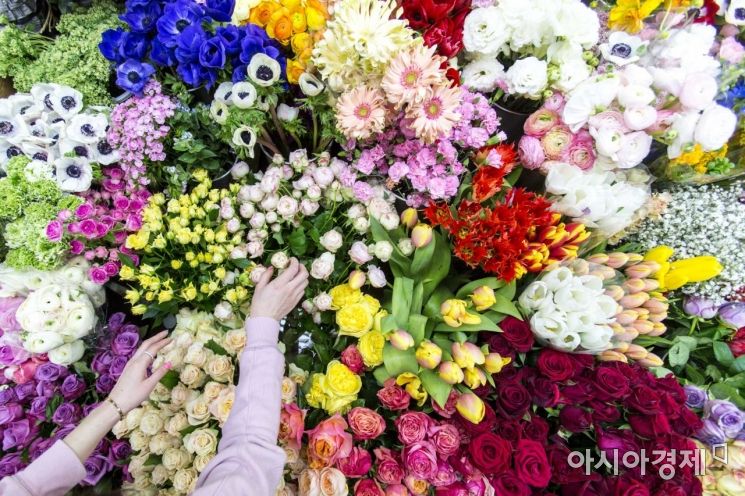 [포토] 봄 품은 꽃시장