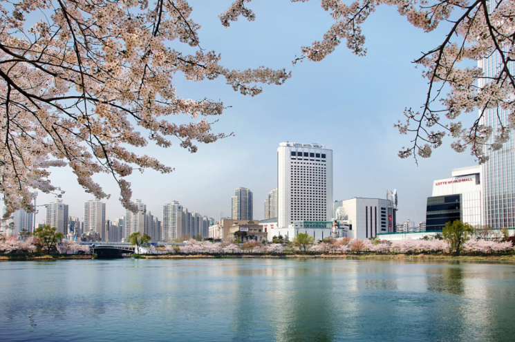 "벚꽃으로 물든 봄 호텔서 즐기자"…롯데호텔 봄 패키지 출시