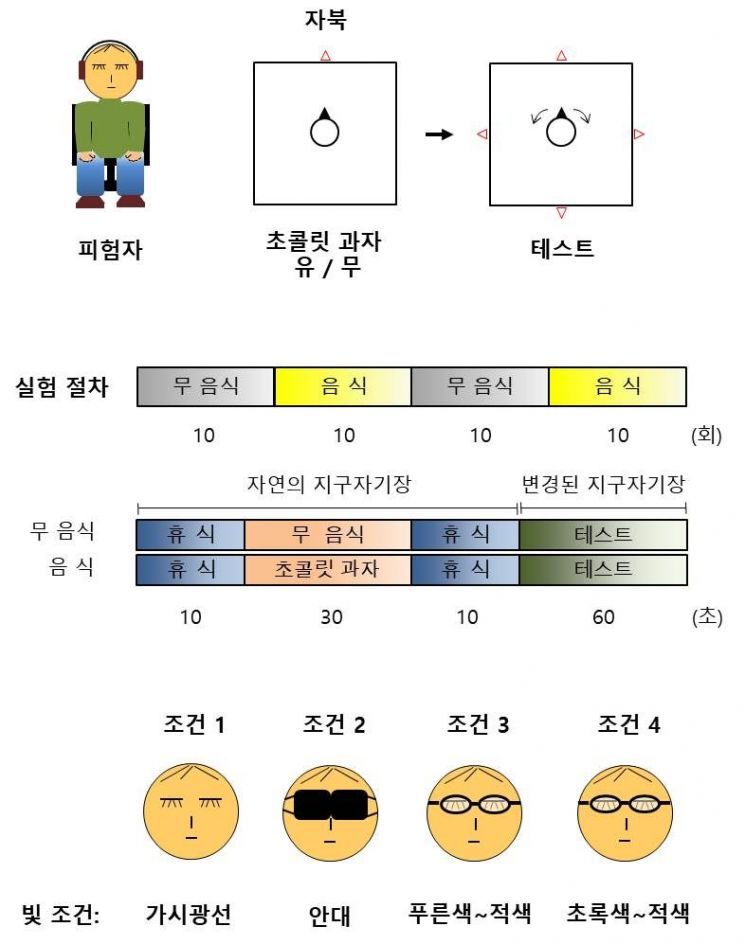 인간도 나침반 없이 북쪽 찾아낼 수 있다