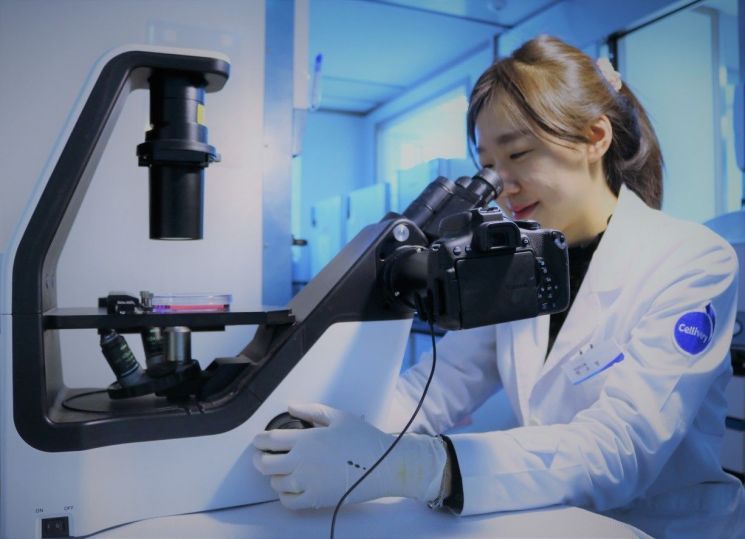 셀리버리 소속 연구원이 상암동 본사 신약개발연구소에서 연구에 매진하고 있는 모습.