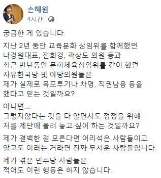 손혜원 무소속 의원이 야당의원들을 비판했다/사진=손혜원 페이스북 캡처