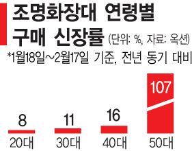 "나도 전문가처럼"…조명 화장대·LED 거울 불티나(종합)