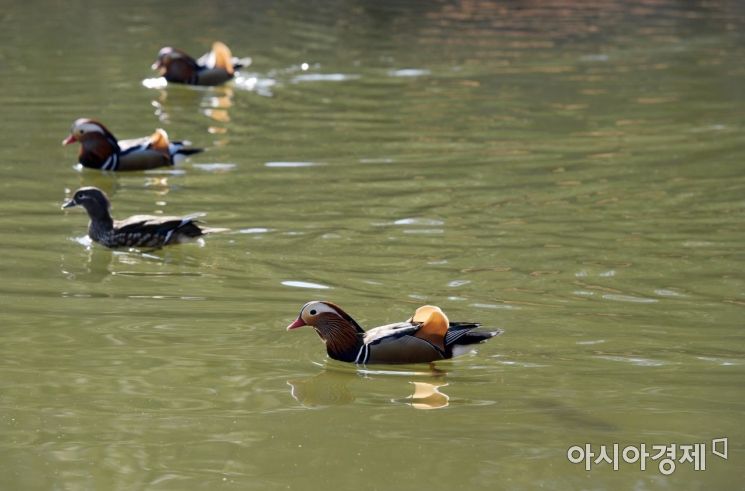 [포토]'봄이다~ 봄이다~'