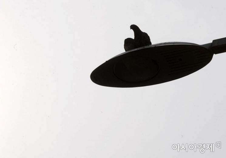 [포토]'뭐가 보여?'