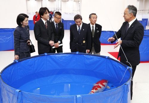세계 부호들 관상용 일본 비단잉어에 주목…한 마리에 23억원