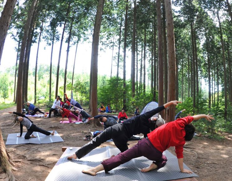 전남 장성군 축령산을 찾은 등산객들이 요가를 하고 있다. 사진=장성군