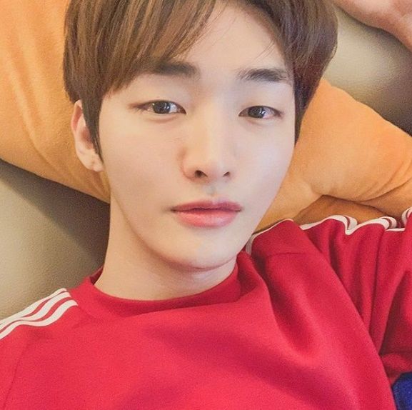 강다니엘, LM엔터테인먼트 분쟁에 "윤지성은 괜찮은가" 팬들 걱정 