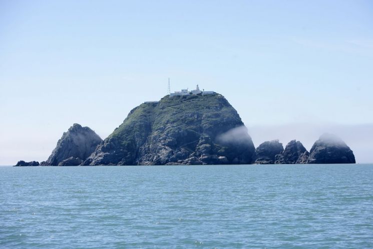 신안군, 철새로 남북교류·국제협력 새 장 연다