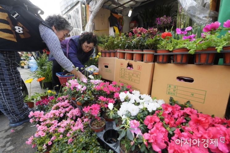 [포토]봄꽃 고르기