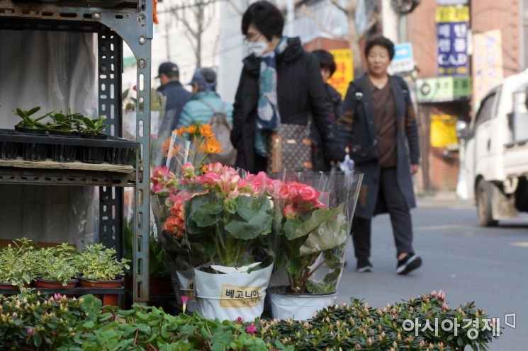 [포토]포근한 날씨, 종로꽃시장 찾는 시민들