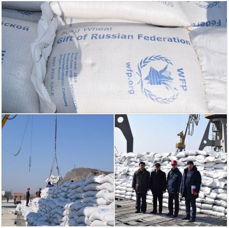 러시아, 北에 밀 2000톤 인도적 지원…청진항에 선박 도착