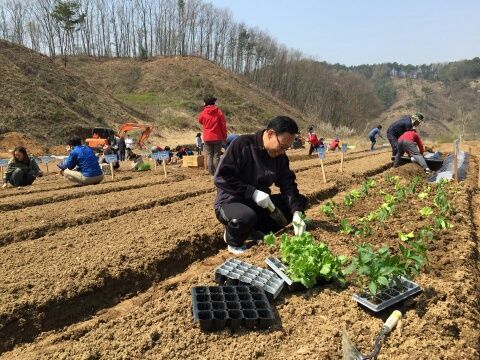 세종, ‘주말농장·정원형 텃밭’ 분양…텃밭에선 바비큐 파티도