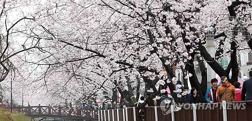 항공업계 "벚꽃 손님 모신다"…日 하늘길 확장