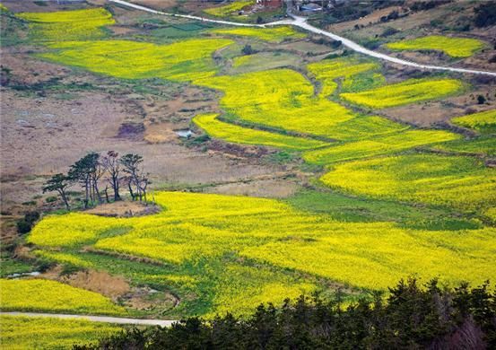 전남 진도군 관매도  사진제공=전남도