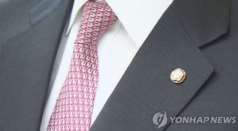 국회의원 배지. 사진=연합뉴스
