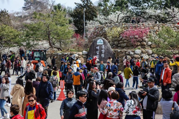 [포토]  ‘제21회 광양매화축제’ 현장