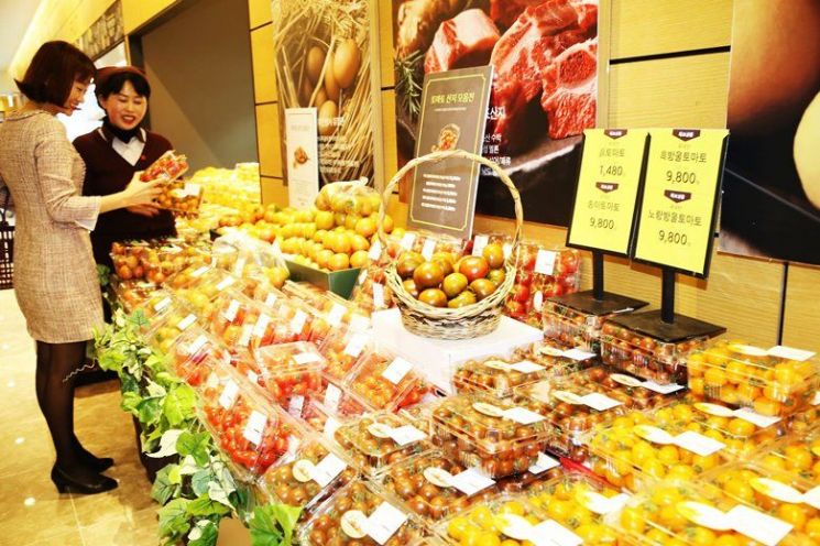 광주신세계 “탐스러운 토마토 드셔보세요”