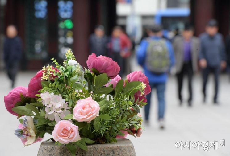 [포토]어르신 봄 나들이