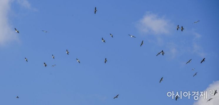 [포토] 미세먼지 없는 하늘