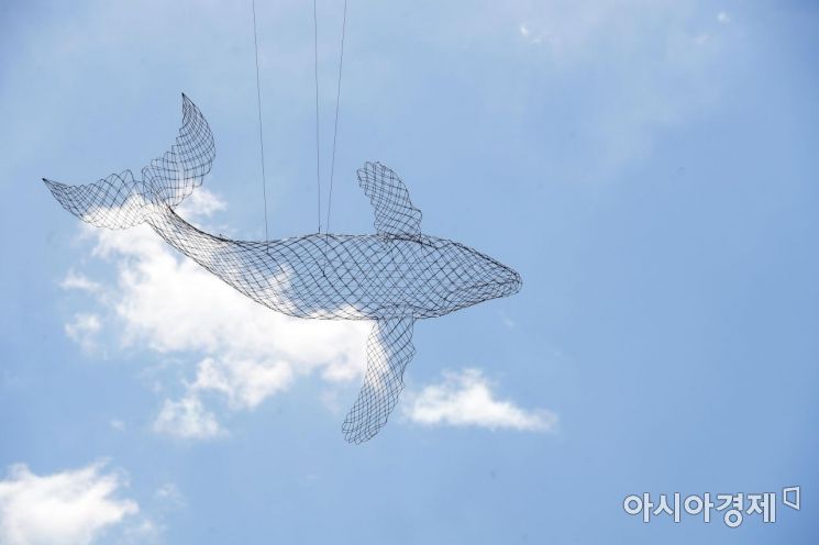 [포토]자유롭게