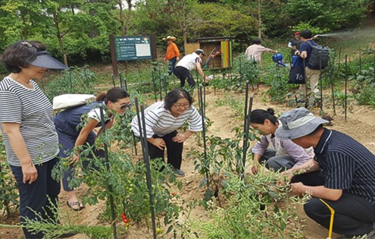 광진구, 50플러스 세대 위한 ‘도시농부학교’ 운영