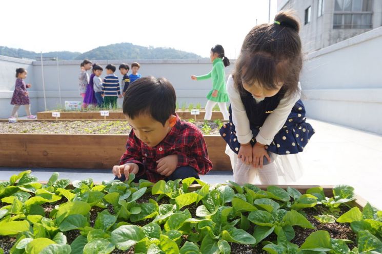 광주 동구, 도시농업 공간조성 사업 공모 선정