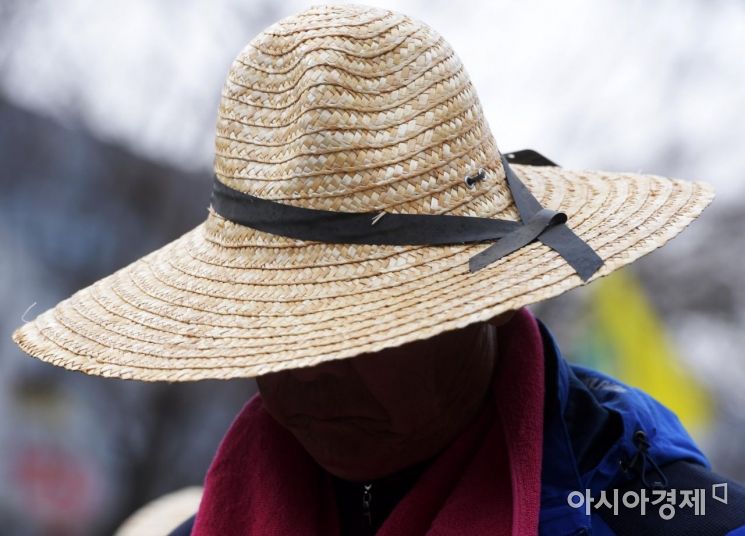 심상치 않은 채소값…쌀 값도 5월 하락전망에 농가 '뒤숭숭'(종합)