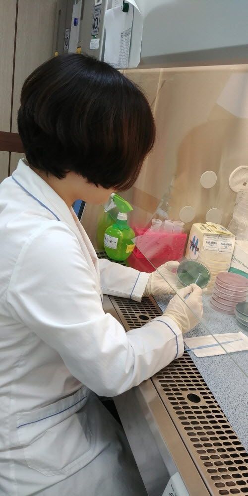 경기 서해안 해수서 첫 '비브리오패혈증균' 검출