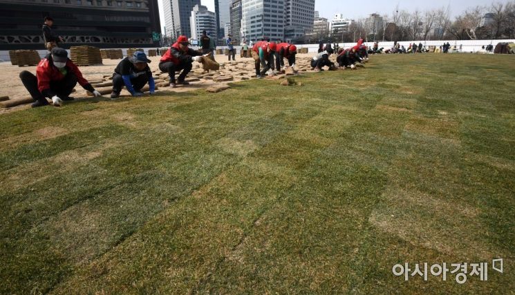 [포토] 녹색옷 갈아입는 서울광장