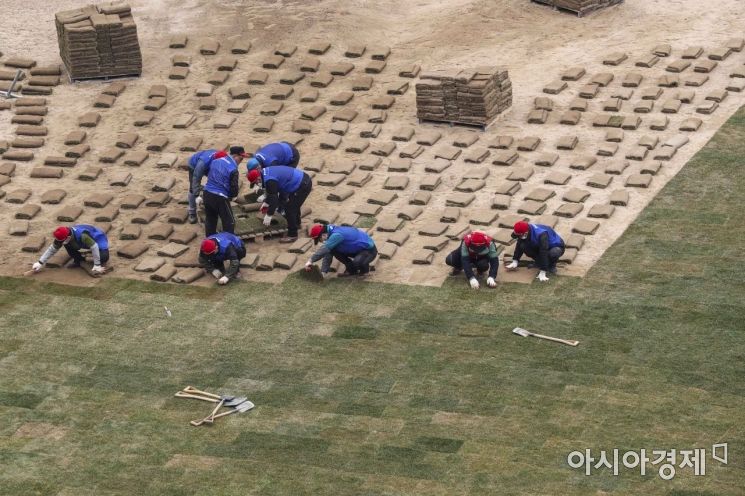 [포토]서울광장 잔디 식재하는 근로자들