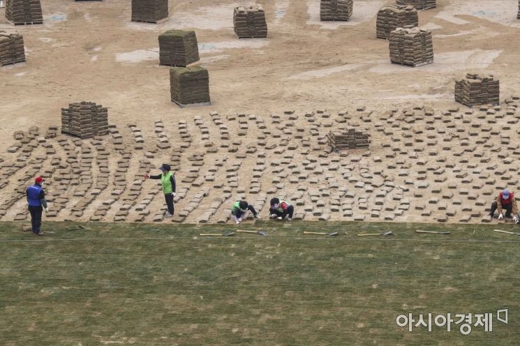 [포토]서울광장 새 잔디로 교체