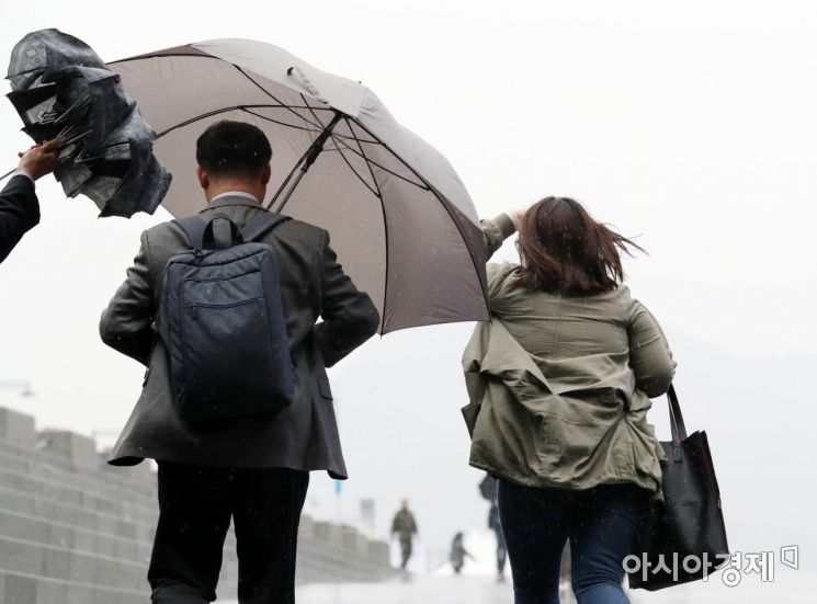 [포토]먼지 씻는 봄비