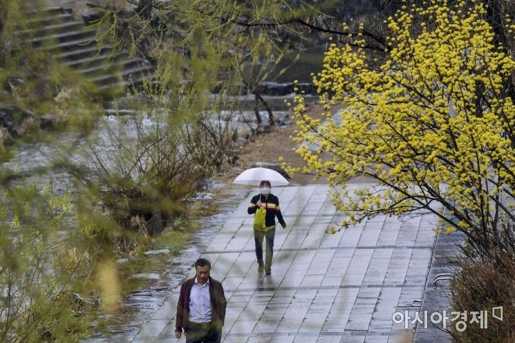 촉촉한 봄비가 내리고 있는 20일 서울 중구 청계천 산책로에서 시민이 우산을쓴 채 발걸음을 옮기고 있다./강진형 기자aymsdream@