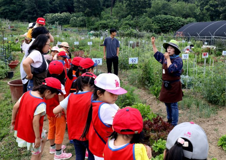 강남구 수서동에 친환경 도시텃밭 조성