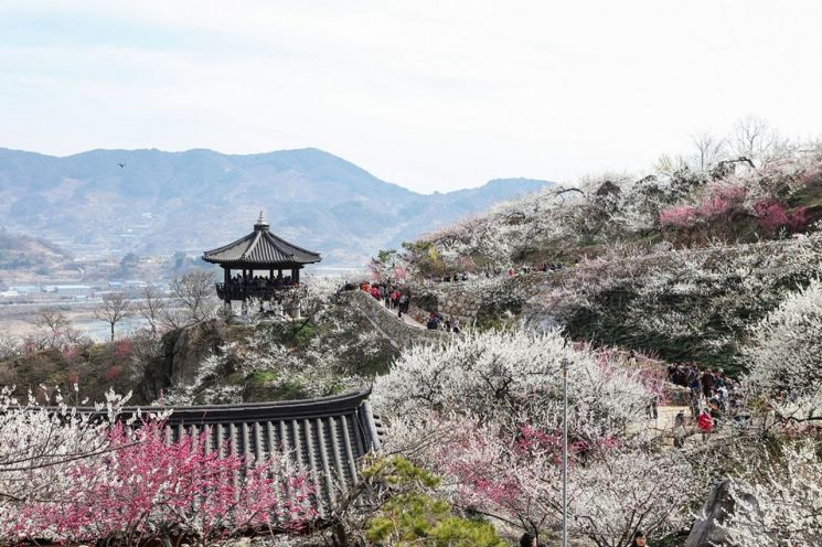 전남 광양 ‘멋진 봄 풍경 볼 수 있는 아시아 23곳’ 선정